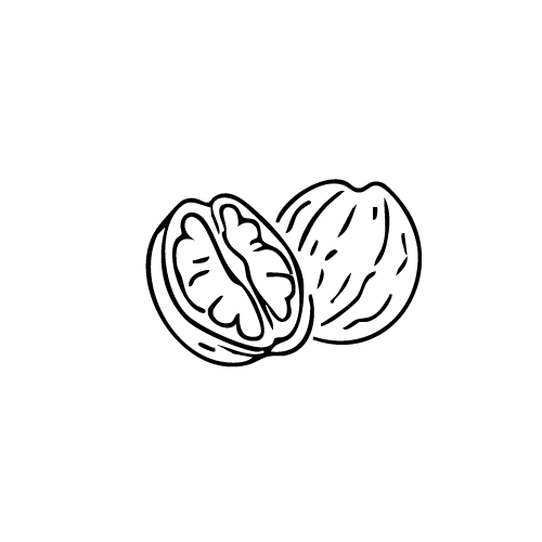 Icons derolivenbauer shop 6