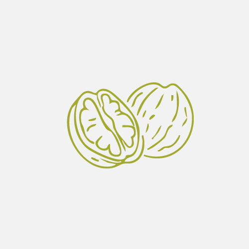 Icons derolivenbauer shop 6b